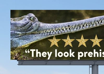 St. Augustine Alligator Farm 5 Star Campaign