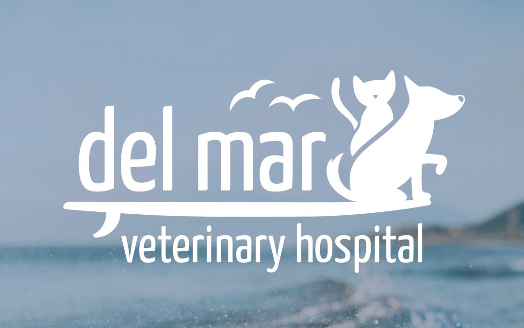 Del Mar Veterinary Hospital Identity