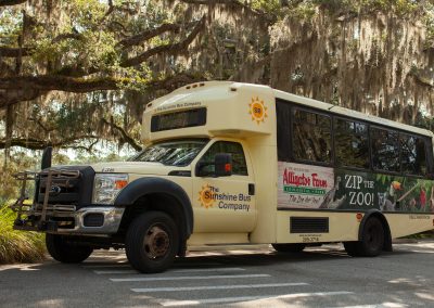 St. Augustine Alligator Farm Transit Advertisement