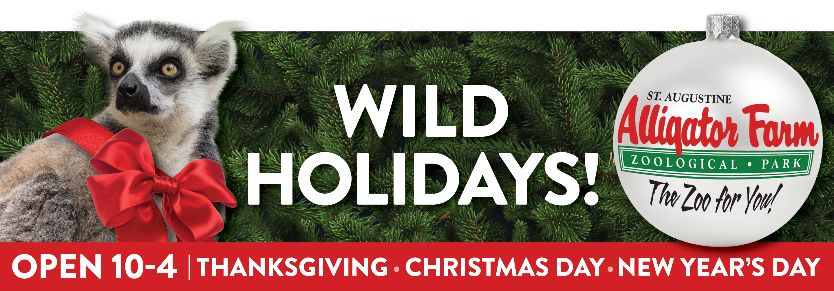 SAAF_12x40_holiday2