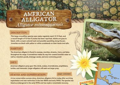 St. Augustine Alligator Farm Park Signage